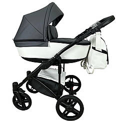 Коляска 2 в 1 Baby Pram Berta eco