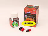 Стоїть 10 днів поспіль — натуральний засіб для чоловіків 10 капсул, фото 2