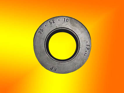 Сальник барабана 25*52*10 FP