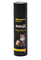 Шампунь AnimAll Katzen Shampoo для кошек и котят 250 мл