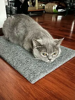 Кігтеточка лежанка підлогова з килималіна для кішки 50*30 см, Для кішок; для котів; для кошенят