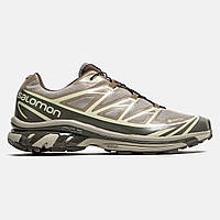 Мужские кроссовки Salomon XT-6 Gore-Tex Brown коричневого цвета