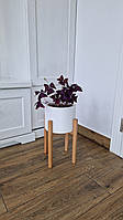 Підставка для вазона, квітів 20.3x30 см WoodDecor покрита лаком