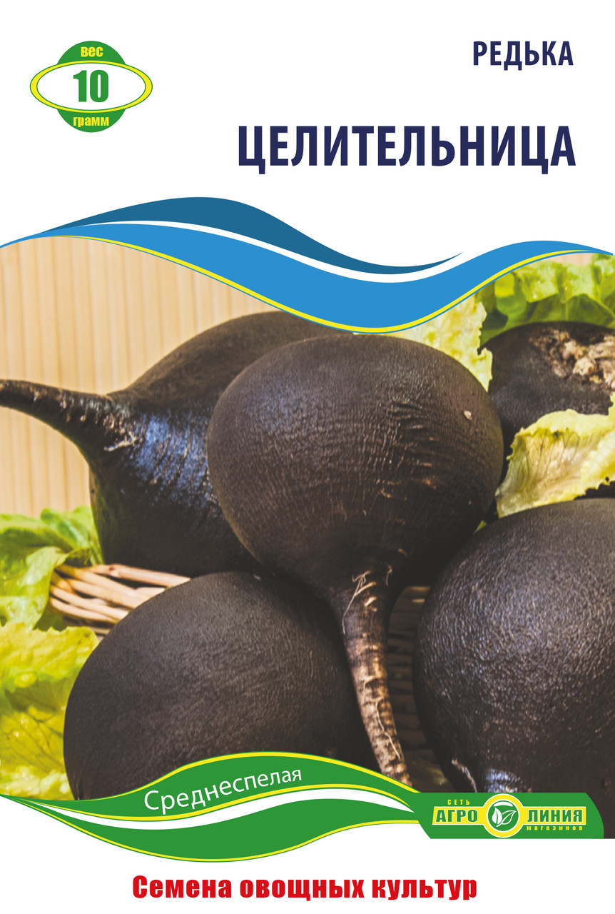 Семена Черной Редьки Купить