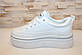 Кросівки жіночі білі Т1771, фото 2