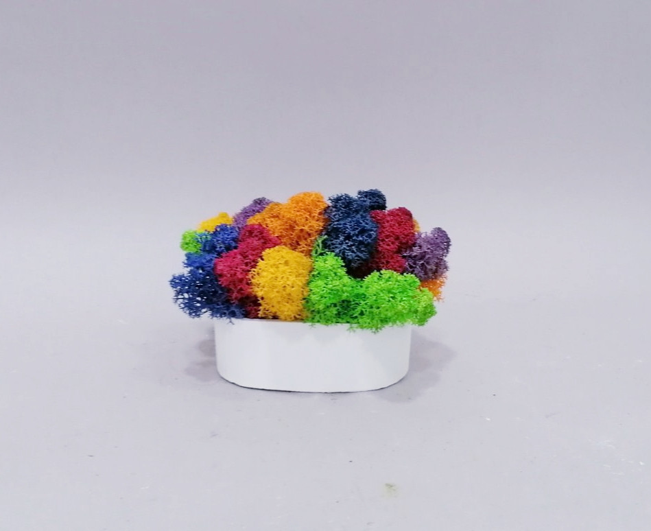 Яскравий мікс кольорового стабілізованого живого моху в дизайнерському горщику кашпо для декору ручної роботиУКР