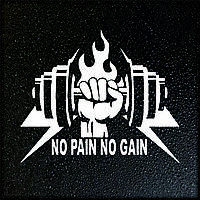 Наліпка/Наклейка на авто "NO PAIN NO GAIN" ORACAL