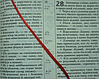 Біблія Турконяка сучасний переклад середній формат 14*20 см коричневого кольору глянець, фото 5