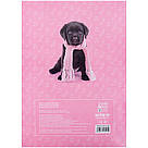 Зошит для нот Kite Studio Pets SP24-404, А4, 20 аркушів, фото 5