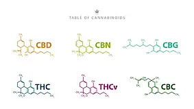 Відмінності в ефектах канабіноїдів: CBD, CBG та CBN  