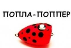 Попла- шпопер