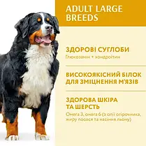 Сухий корм для собак OPTIMEAL для великих порід з куркою 1.5 кг, фото 5