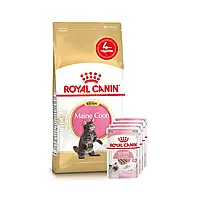 Набір корму для кошенят Royal Canin Kitten Maine Coon 2 кг + 4 pouch вологого корму - домашня птиця