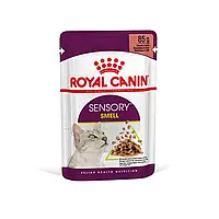 Влажный корм для привередливых к запаху кошек Royal Sensory Smell pouch в соусе 85 г