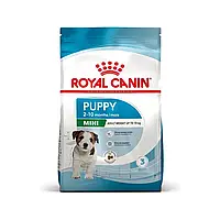 Сухой корм для щенков мелких пород Royal Canin Mini Puppy 2 кг - домашняя птица