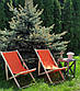 Розкладне дерев’яне крісло шезлонг з тканиною, для дачі, пляжу чи кафе. Крісла садові терасні дерев'яні. Лежак шезлонг Код/Артикул, фото 5