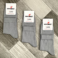 Шкарпетки чоловічі демісезонні бавовна середні ВженеBOSSі, розмір 33 (47-48), світло-сірі, 11287, фото 2