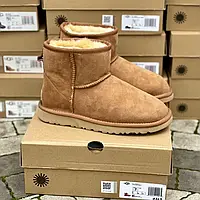 Ugg Classic Mini Chestnut Suede 36