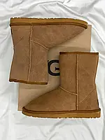 UGG Classic Short Light Brown (Распродажа) 39