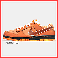 Кроссовки женские и мужские Nike SB Dunk Low Orange / кеды Найк СБ Данк оранжевые