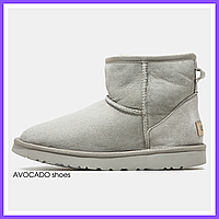 Сапоги зимние женские и мужские UGG Classic Mini light grey с мехом / черевики УГГи мини серые на меху