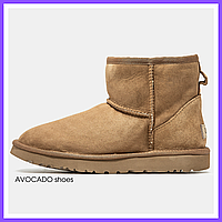 Чоботи зимові жіночі та чоловічі UGG Classic Mini Chestnut з хутром / черевики УГГи міні рижі на хутрі