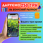 🎉 Отримай 250 гривень кешбеку на ваш бонусний рахунок! 🤑