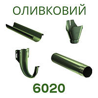 Оливковий 6020