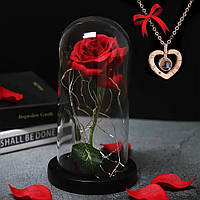 Роза в колбе с LED подсветкой 20 см + Подарок Кулон с проекцией "I love you" / Вечная роза под куполом