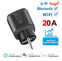 Розумна Wi-Fi розетка 20А з лічильником електроенергії Tuya Smart 3960Вт з підключенням до телефону