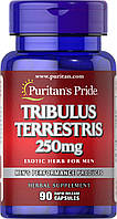 Стимулятор тестостерона Puritan's Pride Tribulus Terrestris 250 mg, 90 капсул