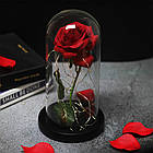 Троянда в колбі 20см з LED підсвічуванням + Подарунок Кулон з проекцією "I love you" / Квітка-нічник вічна троянда, фото 4