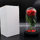 Троянда в колбі 20см з LED підсвічуванням + Подарунок Кулон з проекцією "I love you" / Квітка-нічник вічна троянда, фото 8