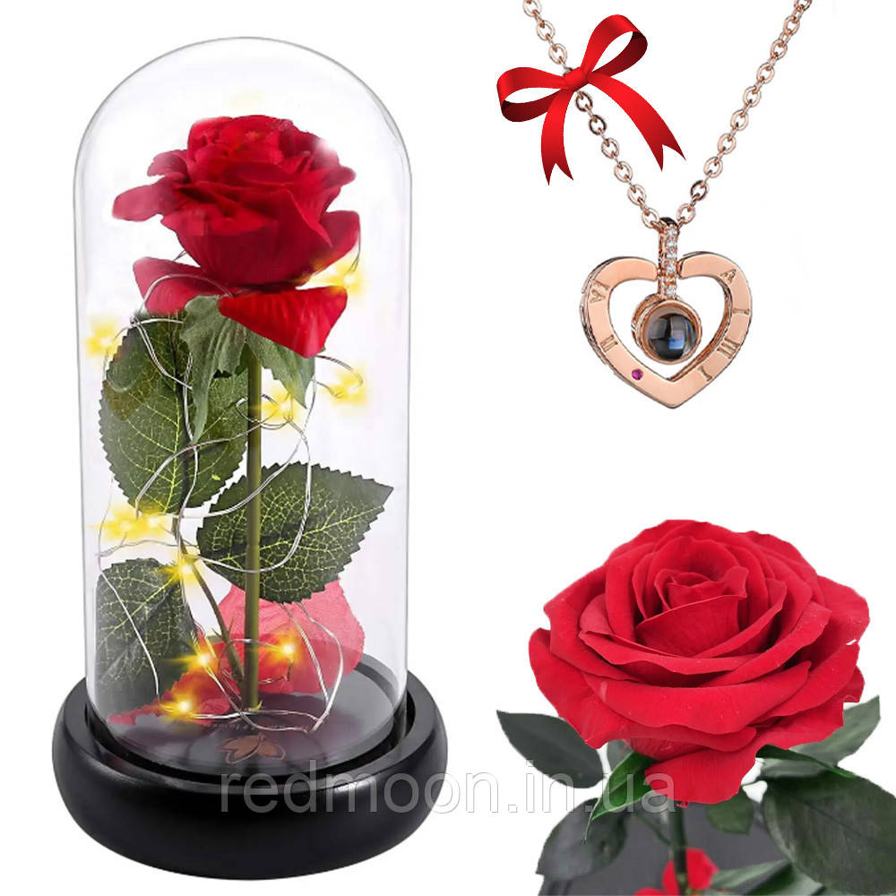 Троянда в колбі 20см з LED підсвічуванням + Кулон з проекцією "I love you" / Квітка-нічник вічна троянда, фото 1