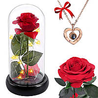 Роза в колбе 20см с LED подсветкой + Подарок Кулон с проекцией "I love you" / Цветок-ночник вечная роза