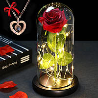 Роза в колбе 20см с LED подсветкой + Подарок Кулон Сердце с проекцией "I love you" / Вечная роза