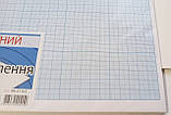 Папір масштабно-координатний для креслення "Графіка" / міліметровий блакитний / А3 10 аркушів, фото 5