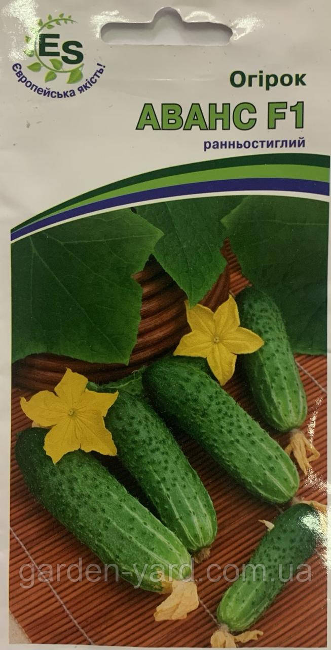 Насіння огірок Аванс F1 20 шт. ElitaSeeds