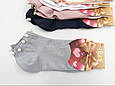 Жіночі шкарпетки з перлинами короткі Z&N з модала ароматизовані 36-40 6 пар/уп мікс кольорів, фото 3