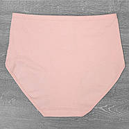 Бавовняні жіночі труси сліпи на високій посадці Beisdanna (великі розміри) 3XL, Чорний, фото 3