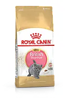 Royal Canin British Shorthair Kitten сухой корм для котят породы британская короткошерстная до 12 месяцев 2кг