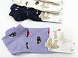 Шкарпетки Sanbella жіночі котонові з окулярами губками сердечками 36-40 12 шт в уп мікс кольорів, фото 3