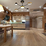 Світильник світлодіодний з пультом керування Ardero AL6120ARD 41W STORIA, фото 3