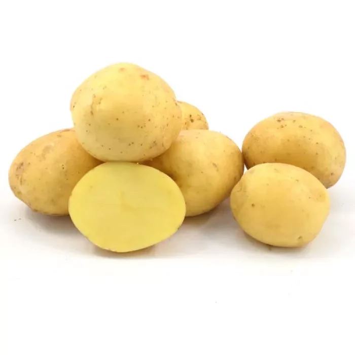 Насіннєва картопля Коннект 1-ї репродукції (середньопізня) 1 кг