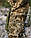Костюм тактичний Гірка 5 демісезон піксель ЗСУ з налокітниками та наколінниками, фото 4