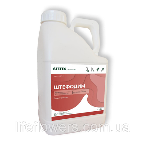 Гербіцид Штефоди 5 л, фото 1