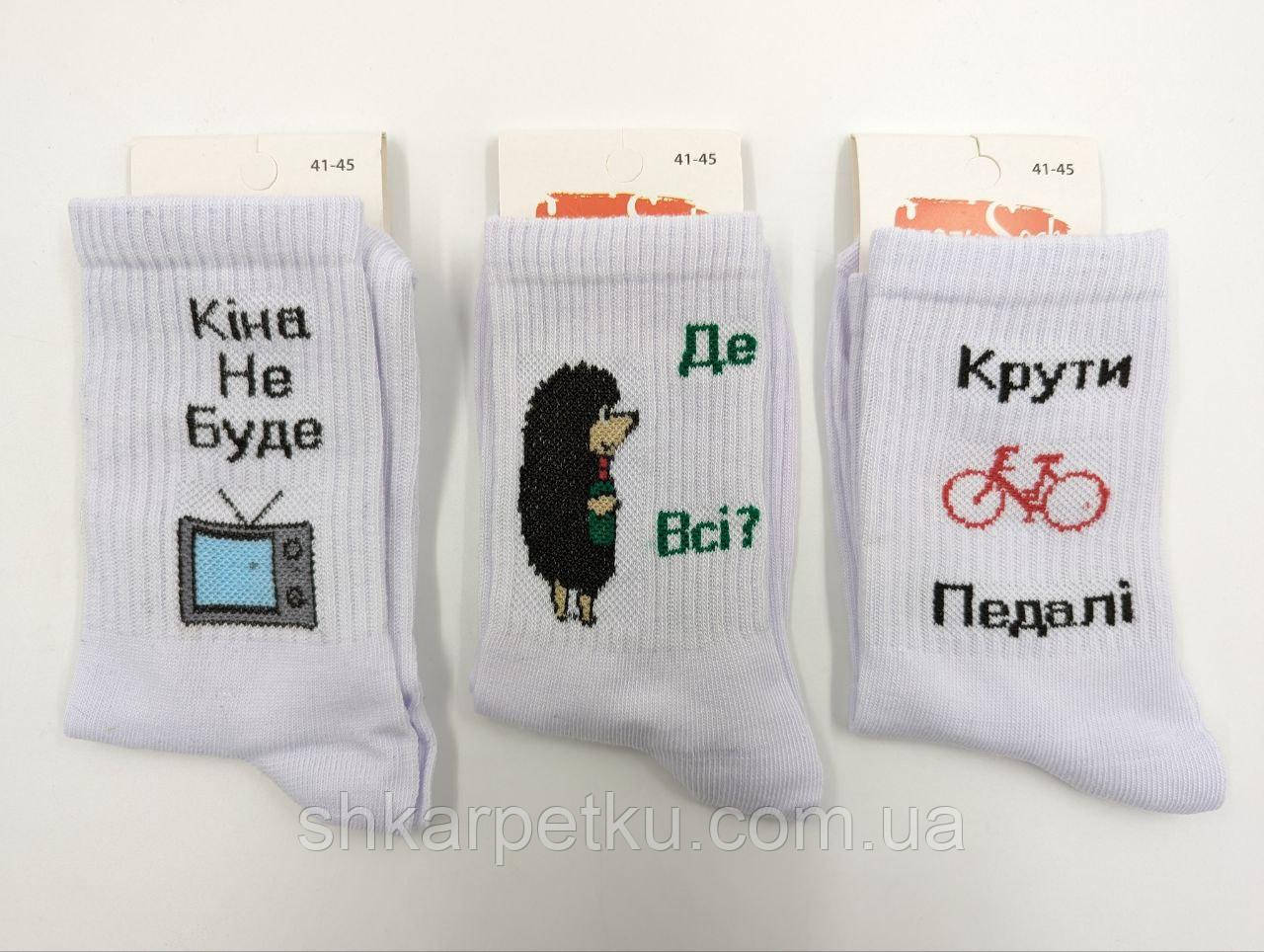 Чоловічі демісезонні шкарпетки Crazy Socks  теніс білі їжак, бавовна 41-45 12 пар/уп, фото 1