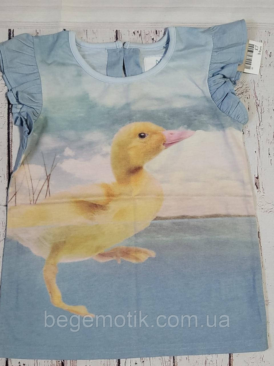 NEXT Футболка з великоднім принтом для дівчинки 5-6 років зріст 116