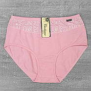 Жіночі бавовняні труси сліп на високій посадці з декоративною вставкою Beisdanna (великі розміри) 3XL,Чорний, фото 2