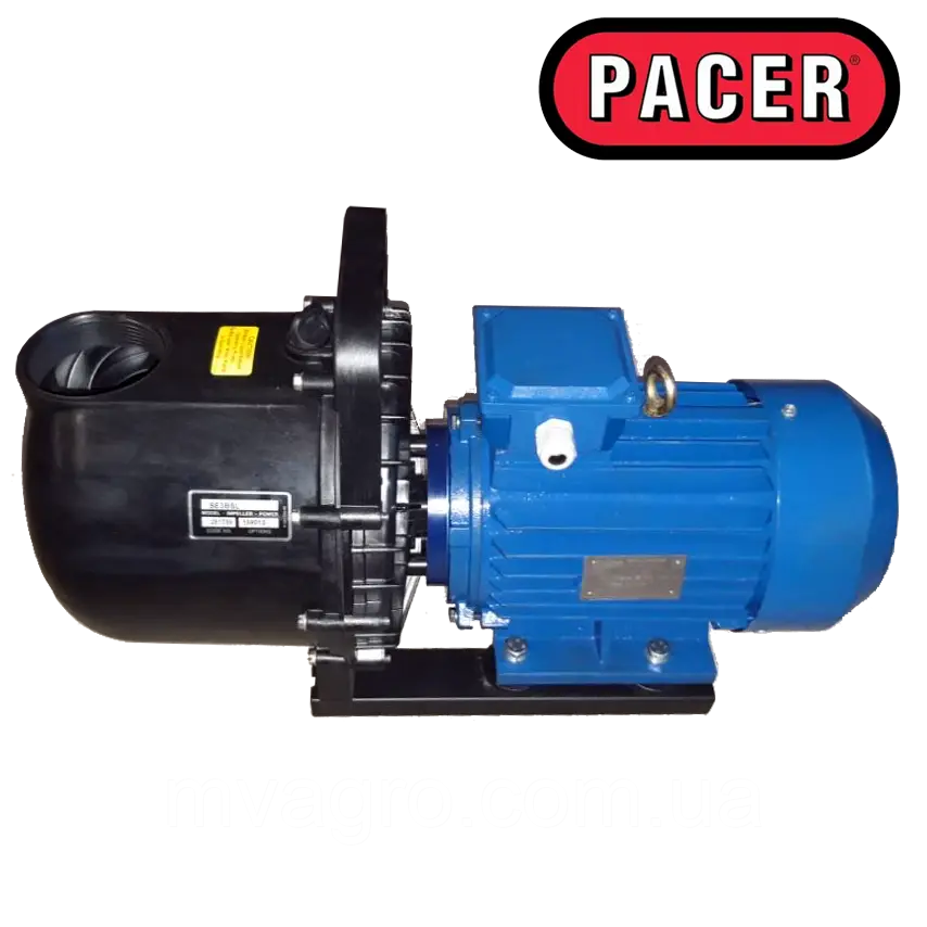 Помпа PACER SE3BSL-АИР100S2 з електродвигуном для КАС, 900 л/хв, фото 1
